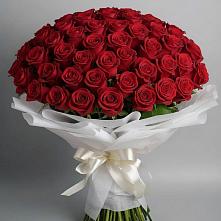 Букет 101 Красная роза Блэк Мэджик в Сызрани
