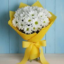 Букет цветов из:  Хризантемы в Сызрани
