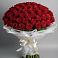 Букет 101 Красная роза Блэк Мэджик в Сызрани