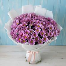 Букет цветов из:  Хризантемы #REPLACE_PRED# Сызрани