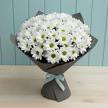 Букет цветов из:  Хризантемы #REPLACE_PRED# Сызрани