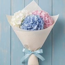 Букет цветов из:  Гортензия в Сызрани