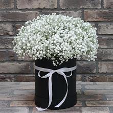 Цветочная композиция из Гипсофила в шляпной коробке в Сызрани