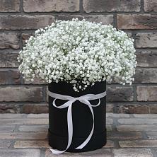 Цветочная композиция из Гипсофила в шляпной коробке в Сызрани