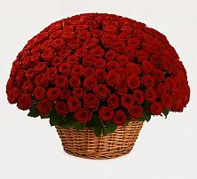 Премиум букет из: Розы в Сызрани