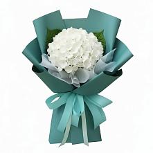 Букет цветов из:  Гортензия #REPLACE_PRED# Сызрани